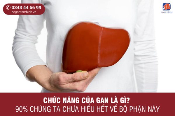 Chức năng gan