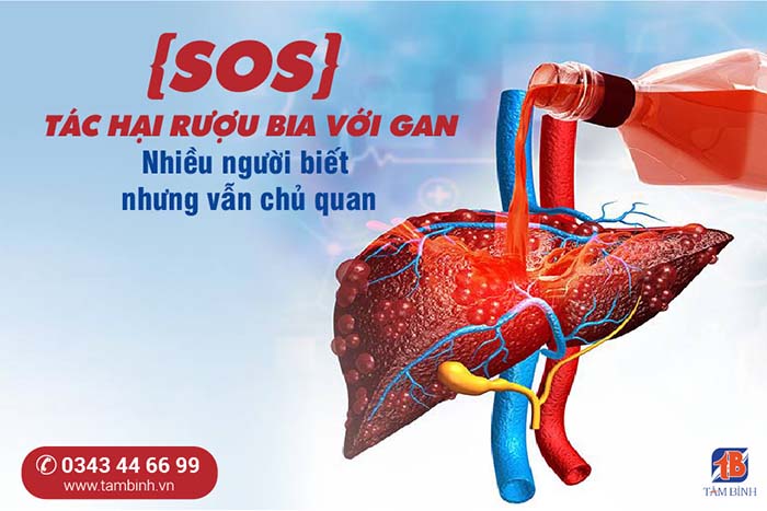 tác hại rượu bia gây tổn thương gan