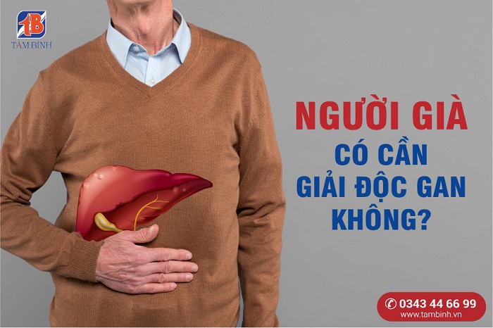 người già có cần giải độc gan không