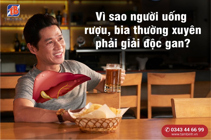 Người uống nhiều rượu bia nên giải độc gan thế nào